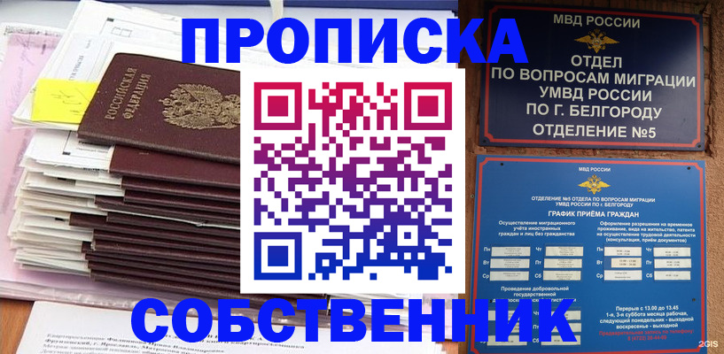 прописка законно в Дмитрове